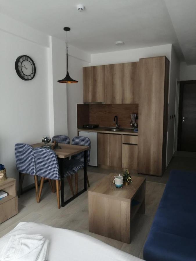 Apartman Adelfes P16, Milmari Resort コパオニク エクステリア 写真